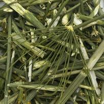 Džiovintos pankolio stiebai graužikams, triušiams, kiaulėms, 1 kg, Champi