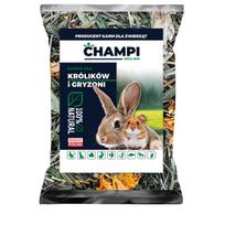 Triušių pašaras SUMMER MEADOW NEAR THE FOREST, 1 kg, žolelės graužikams ir jūrų kiaulytėms Champi