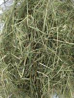 Šienas triušiams ir graužikams, 1 kg, natūralus, žolelių, premium kokybės
