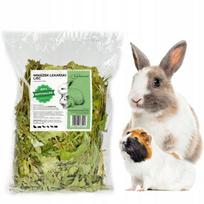 Džiovintos kiaulpienių lapų žolelės triušiams, graužikams ir papūgoms, 100 g, PREMIUM