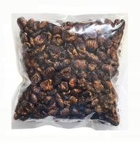 Džiovintos šilkverpių lervos Balmax, 200 g, graužikams
