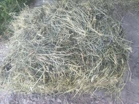 Šienas XXL, minkštas, žalias, 12 kg, aukštos kokybės