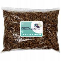 Džiovintos musių lervos 1 kg, pašaras žuvims, paukščiams, graužikams, ežiams, žiurkėnams