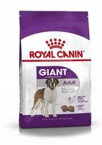 Šunų pašaras Royal Canin Giant Adult, 5 kg