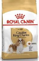 Sausas šunų ėdalas ROYAL CANIN Cavalier King Charles Spaniel suaugusiems, 1,5 kg
