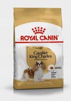 Sausas šunų ėdalas ROYAL CANIN Cavalier King Charles Spaniel suaugusiems, 1,5 kg