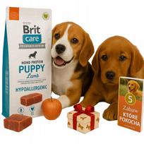 Šunų maistas BRIT CARE Puppy su ėriena ir ryžiais, 12 kg