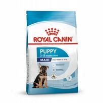 Sausas maistas didelių veislių šuniukams Royal Canin Maxi Puppy, 3 kg