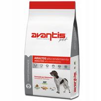 Sausas šunų pašaras Avantis Pet Performance su kiauliena ir jautiena, aktyviems šunims, 15 kg