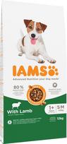 Sausas ėdalas šunims IAMS su ėriena, 12 kg