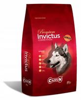 Sausas šunų pašaras Canun Invictus su ėriena, 20 kg