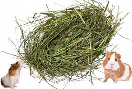 Šienas triušiams, šviežias, žalias, 5 kg