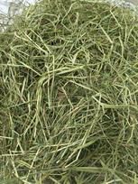 Džiovintos žolės pašaras gyvūnams, 500 g