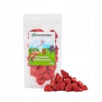 Džiovintos braškės FactoryHerbs, 20 g