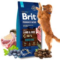 Sausas avienos pašaras jautriems šunims BRIT PREMIUM BY NATURE, 15 kg