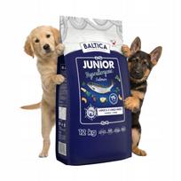 Šunų pašaras BALTICA JUNIOR Hypoallergenic, lašiša, didelių veislių, be grūdų, L/XL, 12 kg