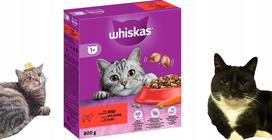 Sausas kačių maistas Whiskas 1+ su jautiena, 800 g, suaugusioms katėms, dėžutė