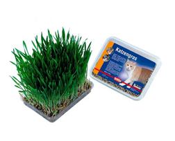 Katžolė Nobby, 100 g