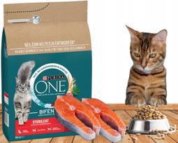 Sausas maistas sterilizuotoms katėms PURINA ONE Sterilcat su lašiša, 750 g