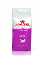 Kačių pašaras ROYAL CANIN KITTEN, 13 kg