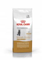 Sausas maistas katėms Royal Canin British Shorthair Adult, 13 kg