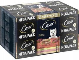 Šunų konservai CESAR CLASSIC TERRINE, mėsos rinkinys, 24 x 150 g