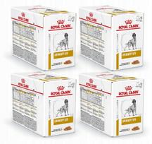 Šunų pašaras ROYAL CANIN URINARY S/O, 4 pakuotės po 12 x 100 g