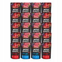 Šunų konservai Dolina Noteci Rafi Mini, 2 skoniai, 20 x 150 g