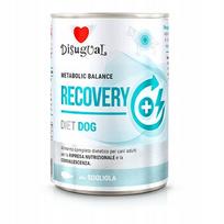 Šunų konservai Disugual Veterinary RECOVERY Sola, 400 g
