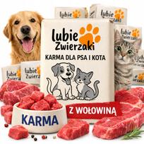Šunų šaldyta jautienos mėsa BARF, 10 kg