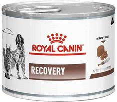 Šlapias pašaras šunims ir katėms Royal Canin Veterinary Recovery Mousse, 195 g