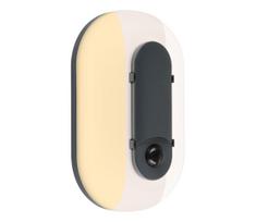 Paulmann 94958 - LED/18,5W IP65 Dimeriuojamas lauko sieninis šviestuvas ELUNOR 230V