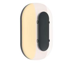Paulmann 94957 - LED/18,5W IP65 dimeriu reguliuojamas lauko sieninis šviestuvas ELUNOR 230V