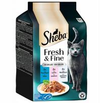 Kačių pašaro rinkinys Sheba Fresh & Fine su tunu, lašiša ir balta žuvimi, 6 x 50 g