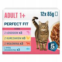 Šlapias kačių maistas Perfect Fit Adult 1+ su įvairiais skoniais, 12 x 85 g
