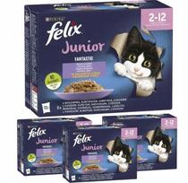 Kačių pašaras PURINA Felix Junior, įvairūs skoniai, 48 x 85 g