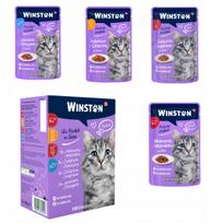Šlapio kačių maisto rinkinys WINSTON MIX, 12 x 100 g, 4 skonių, 1,2 kg