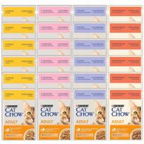 Šlapias kačių maistas PURINA CAT CHOW su drebučiais, įvairių skonių, 24 x 85 g
