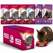 Šlapias kačių maistas Benek, įvairių skonių, 24 x 100 g