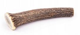 Elnių ragų kramtukas, natūralus, 20–22 cm, 113–184 g
