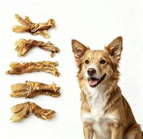 Džiovintos jautienos Achilo sausgyslės skanėstai šunims BEST-DOG, 500 g