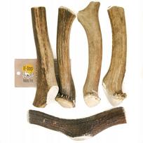Šuns kramtukas XXL, 19-21 cm, elnio rago, 161-200 g