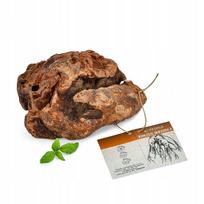 Kramtukas šunims PETMEX iš viržių šaknies, M dydis, 301–500 g