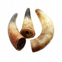 Jautienos ragai šunims, 1 kg (2–4 vnt.)