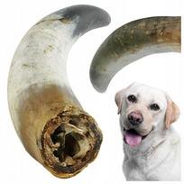Šuns skanėstas BEST-DOG, natūralus jautienos ragas, didelis, apie 500 g