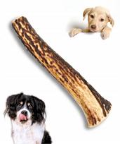 Elnių ragų kramtukas šunims, M dydis, 50–80 g, 12–13 cm