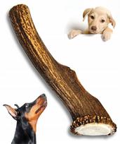 Kramtukas šunims ANTLERS, 23–25 cm, labai kietas, XXL dydžio