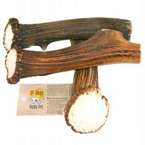 Kramtukas XXL Plus JUMBO, elnio ragų formos, 220–350 g, 19–28 cm