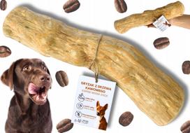 Šunų kramtukas XXL dydžio kavamedžio lazda, 350–500 g, 25–28 cm