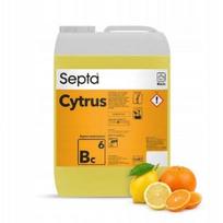 Indų ploviklis Septa Citrus BC6, 10 l